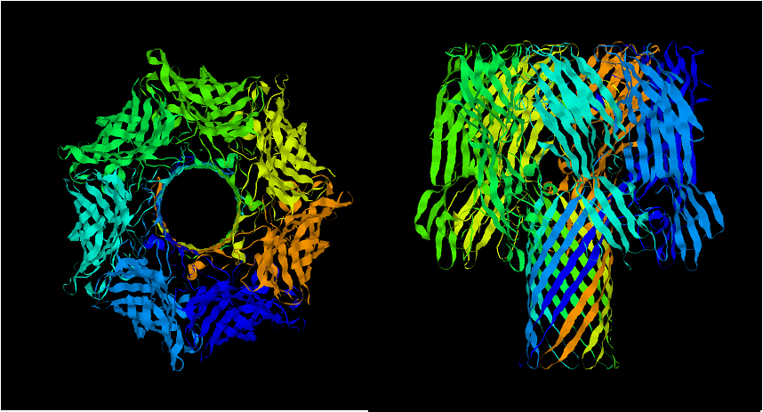 NIST illustration of a biological nanopore in a membrane