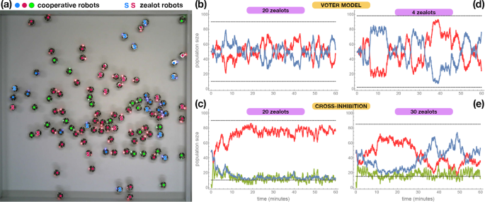 Kilobot swarm experiments з voter model та cross-inhibition