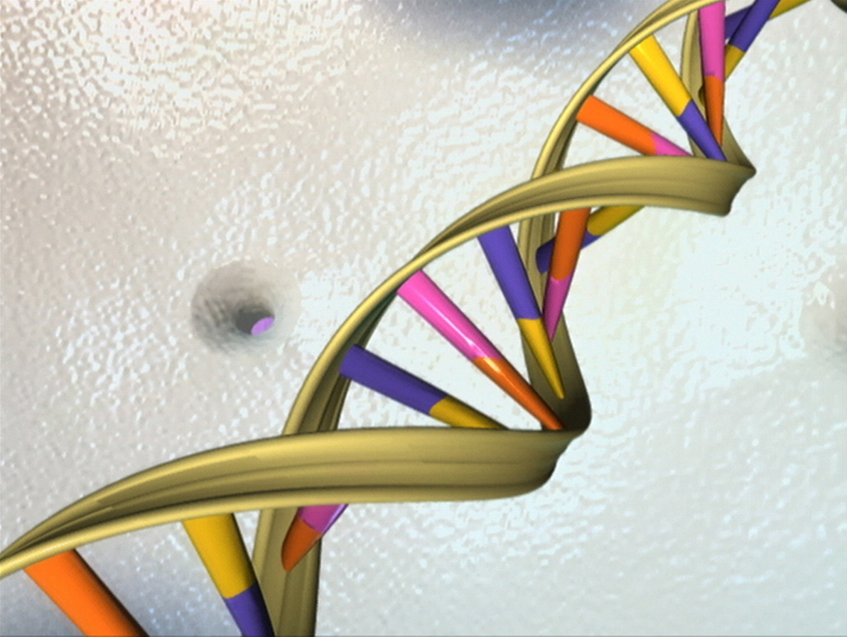 Подвійна спіраль DNA як символ розширення генетичного алфавіту з чотирьох до восьми літер